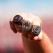 2022 Georgia Bulldogs Championship Rings Collection